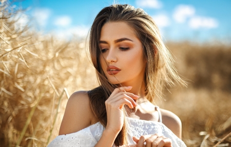 图1
